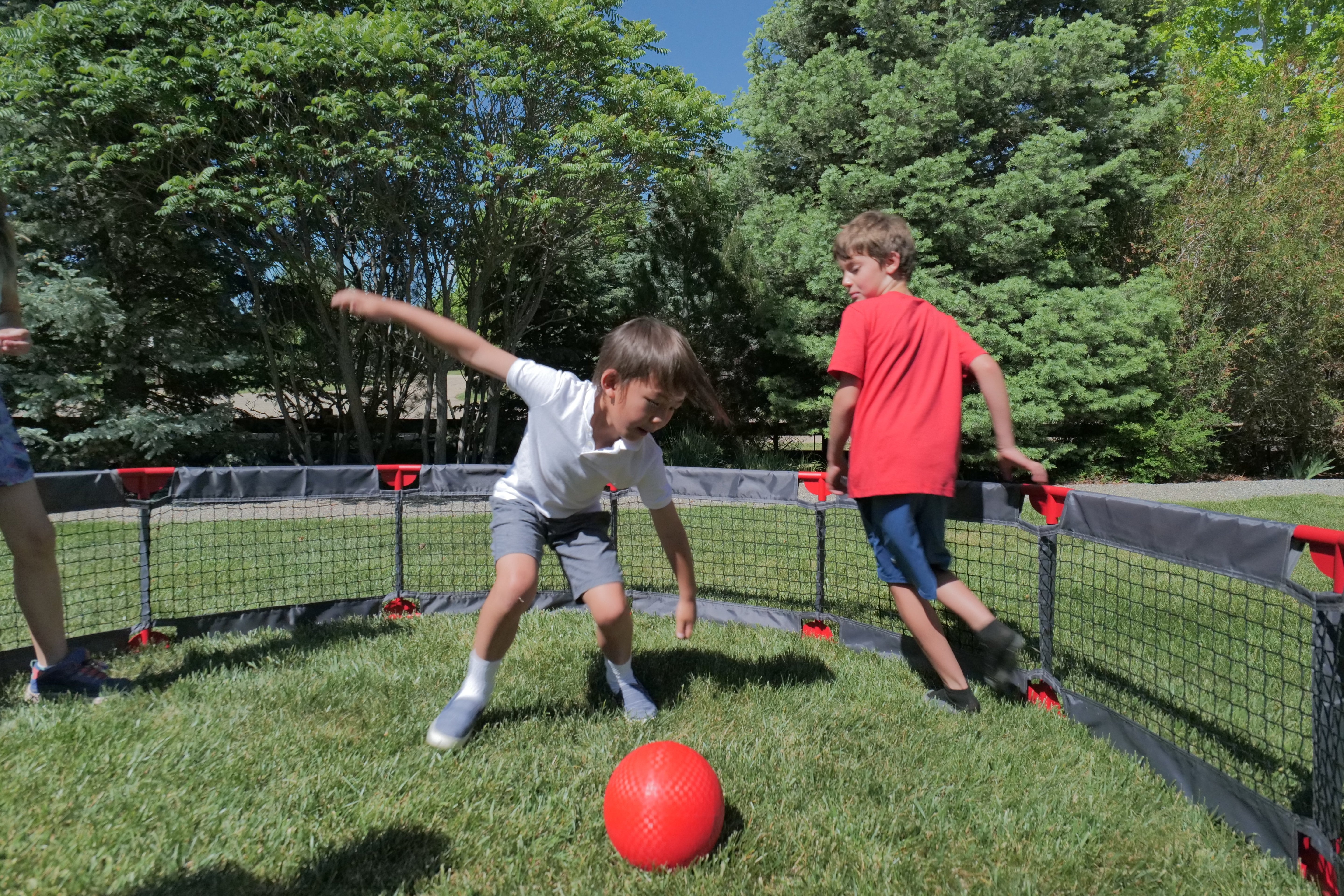 How Many People Can Play Gaga Ball at Once? Pit Sizes Explained